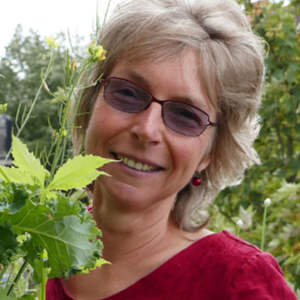 Birgit Schattling